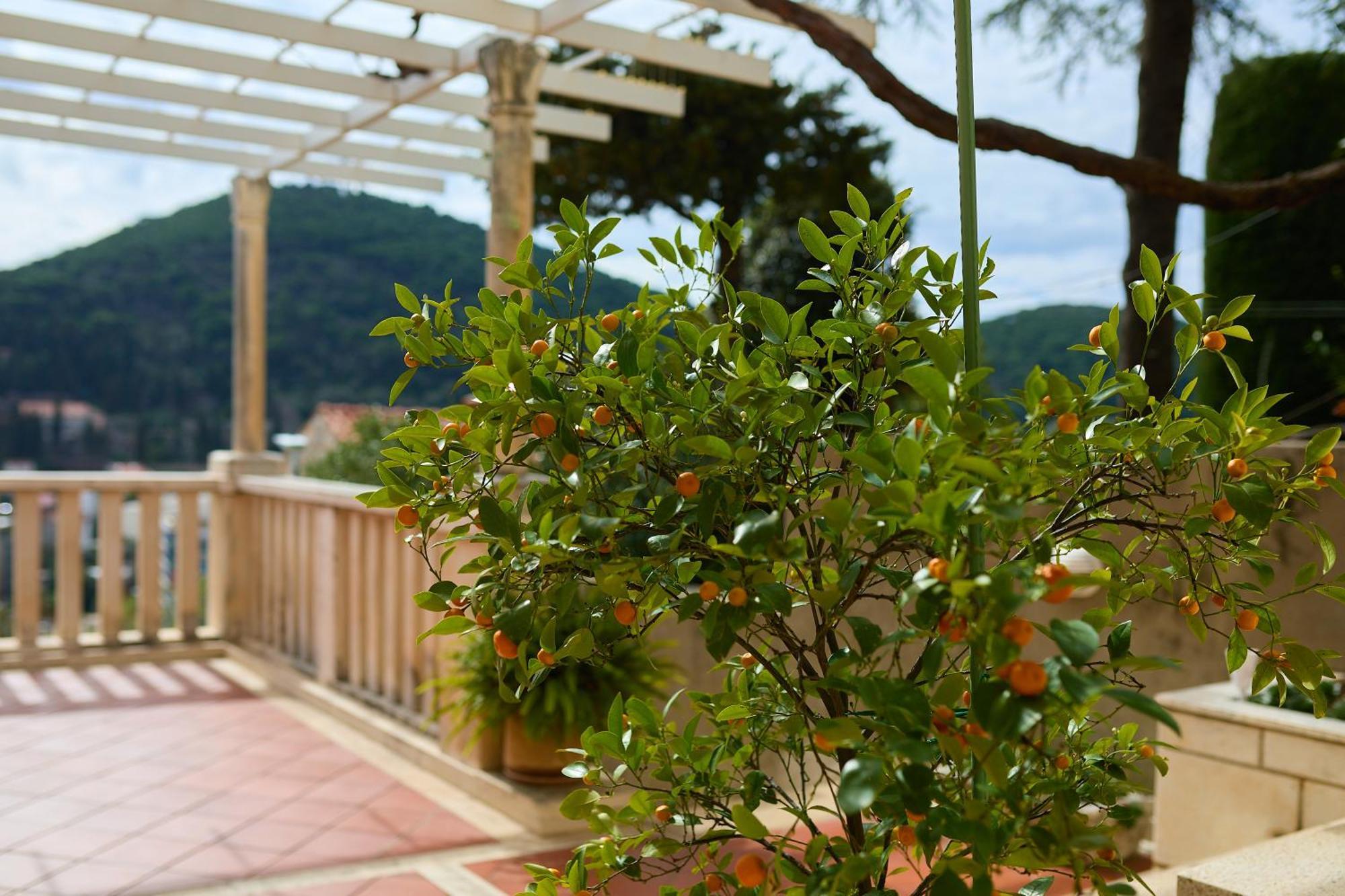 Appartement Ivana Dubrovnik