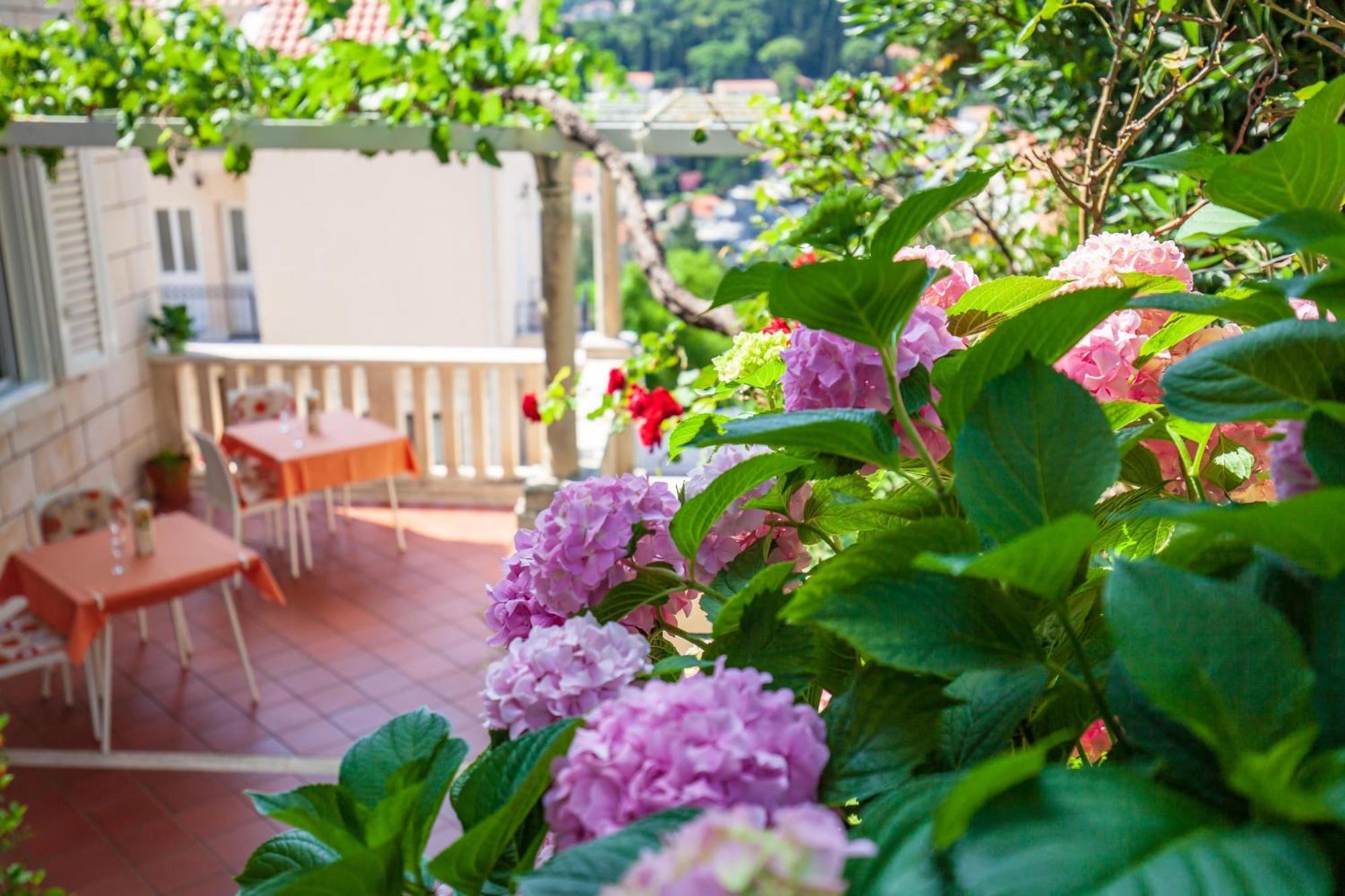 Apartment Ivana